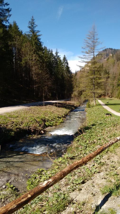 Hotel Schwaigeralm Kreuth Exterior foto